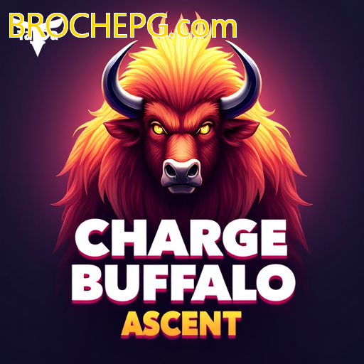 App BROCHEPG.com  